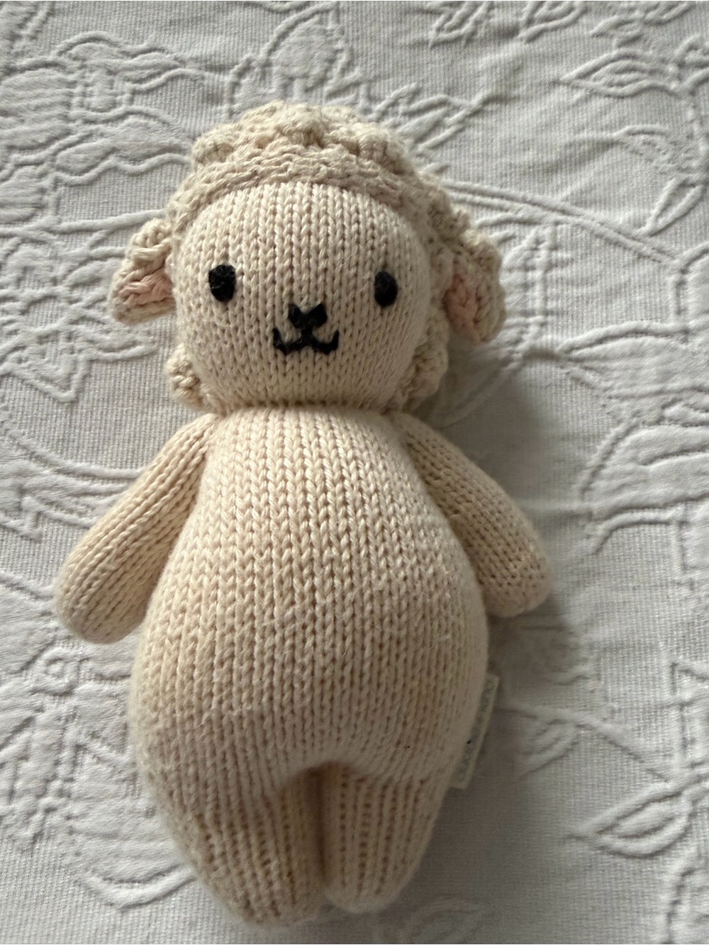 Cuddle and kind baby lamb